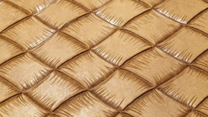 basket-background.02